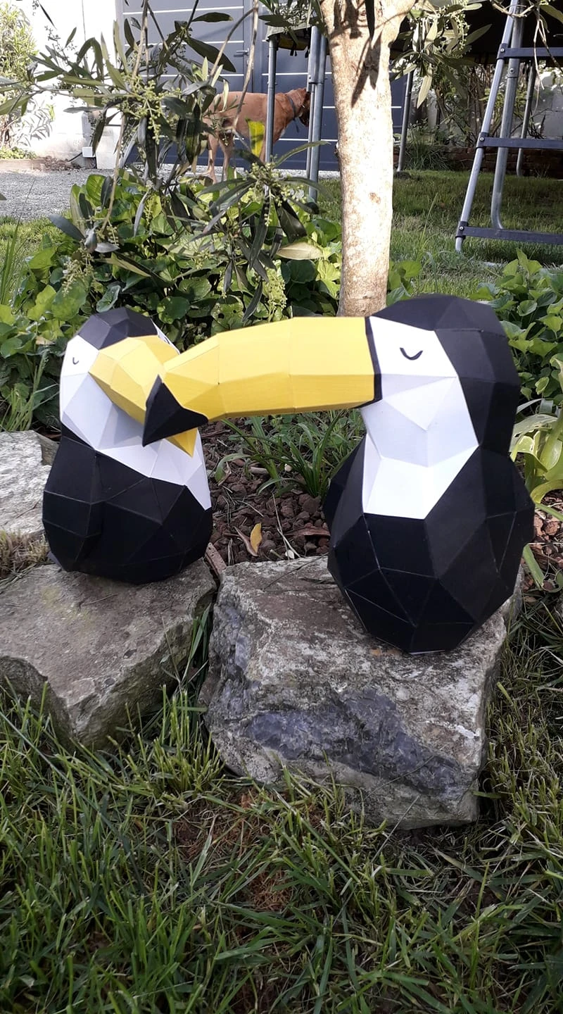 Toutican (Toucan) Papercraft, Lowpoly Papercraft, Fovea - Papercraft - Nonitt